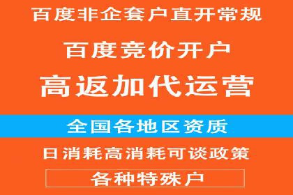 百度竞价广告投放全解析：成功案例揭秘